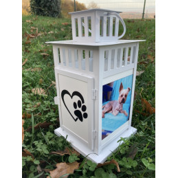 Blanc Lanterne paw